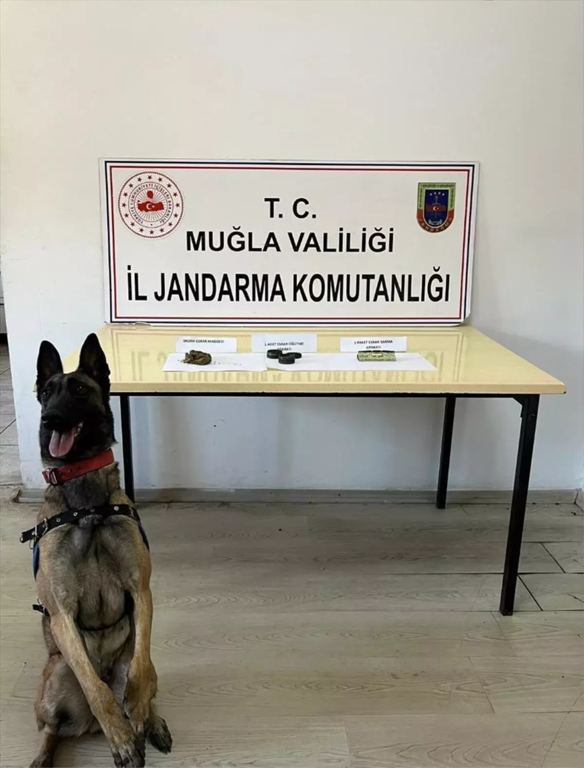 Muğla’da Uyuşturucu Operasyonu: 6 Gözaltı