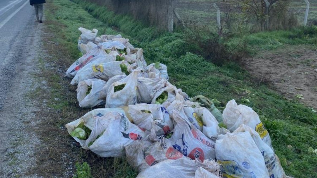 İzmir’de 52 çuval marul çalan şahıslar tutuklandı
